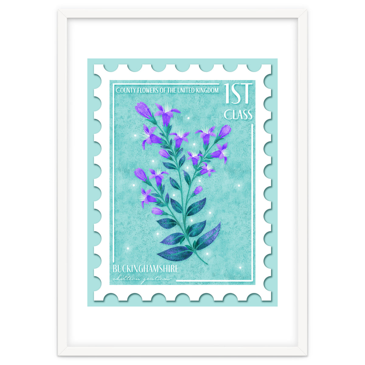 The Buckinghamshire Chiltern Gentian Postage Stamp