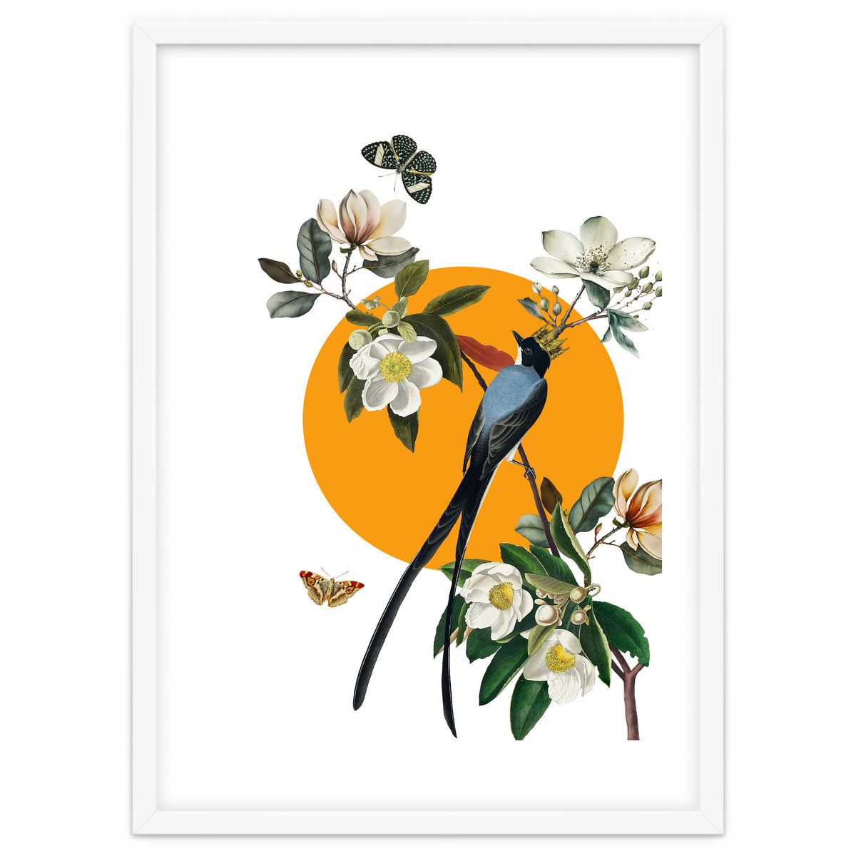 collage floral birds