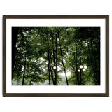 Light bulb among the trees in the summer forest thumbnail