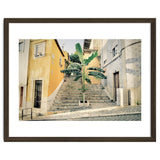 Lisbon Palm Tree thumbnail