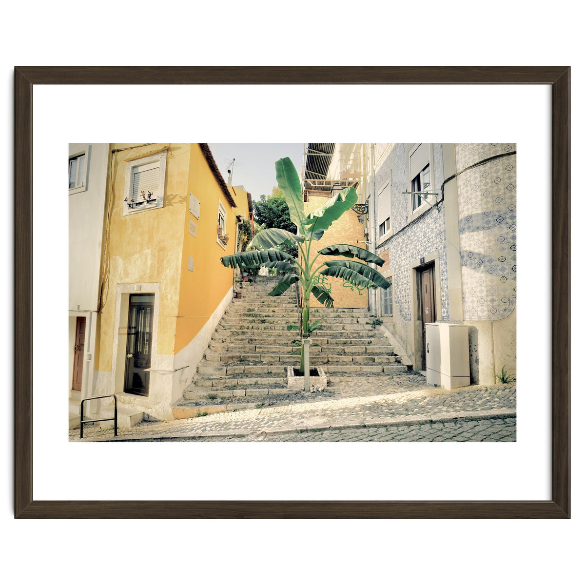Lisbon Palm Tree