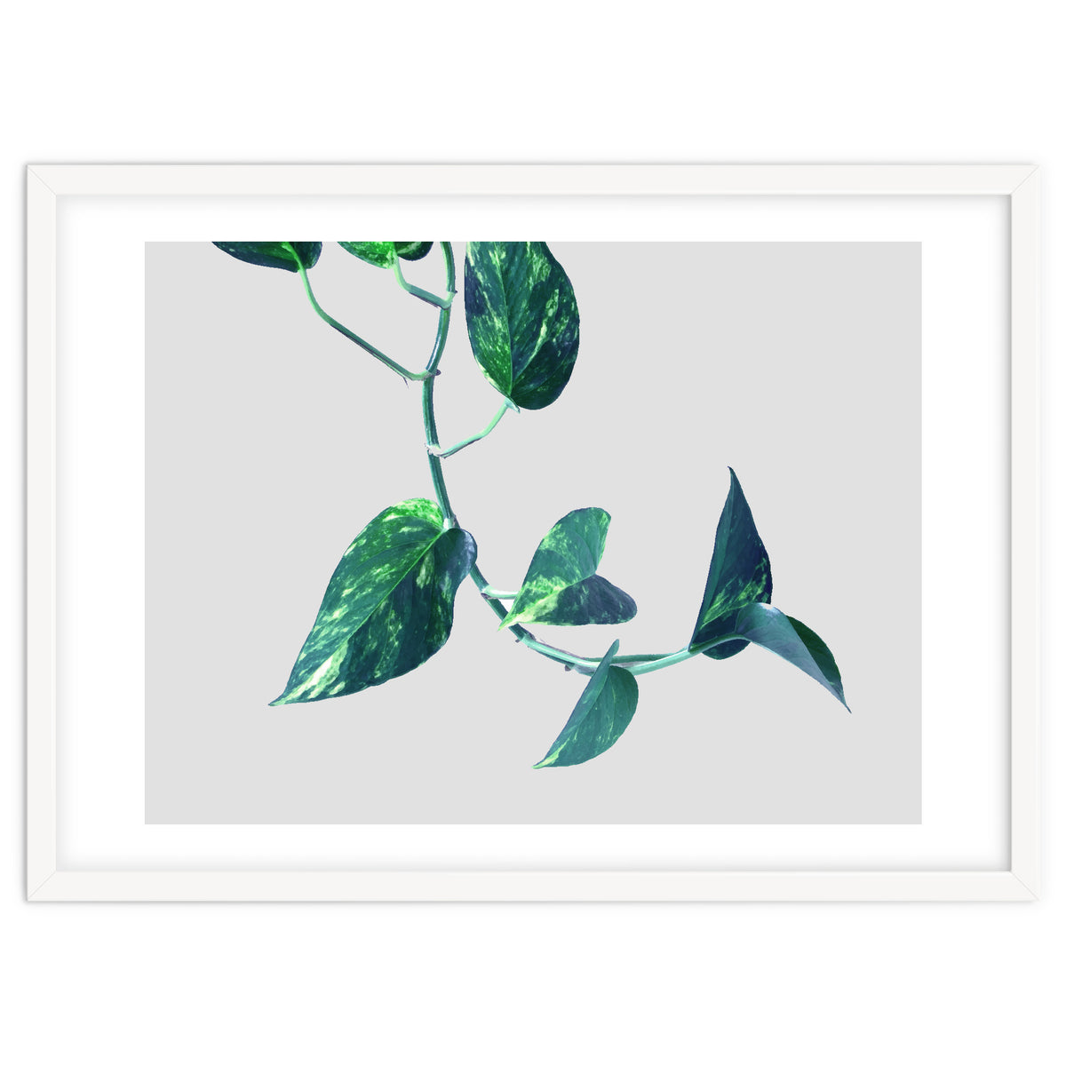 Projection & Emotion