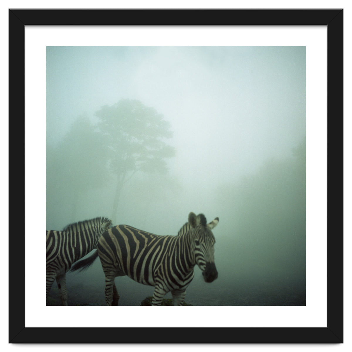 Silence of breath - 16