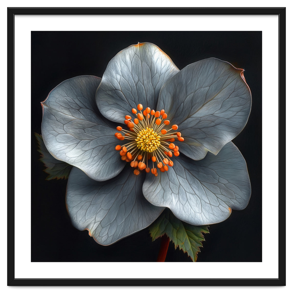 Hellebore | Silver Magic