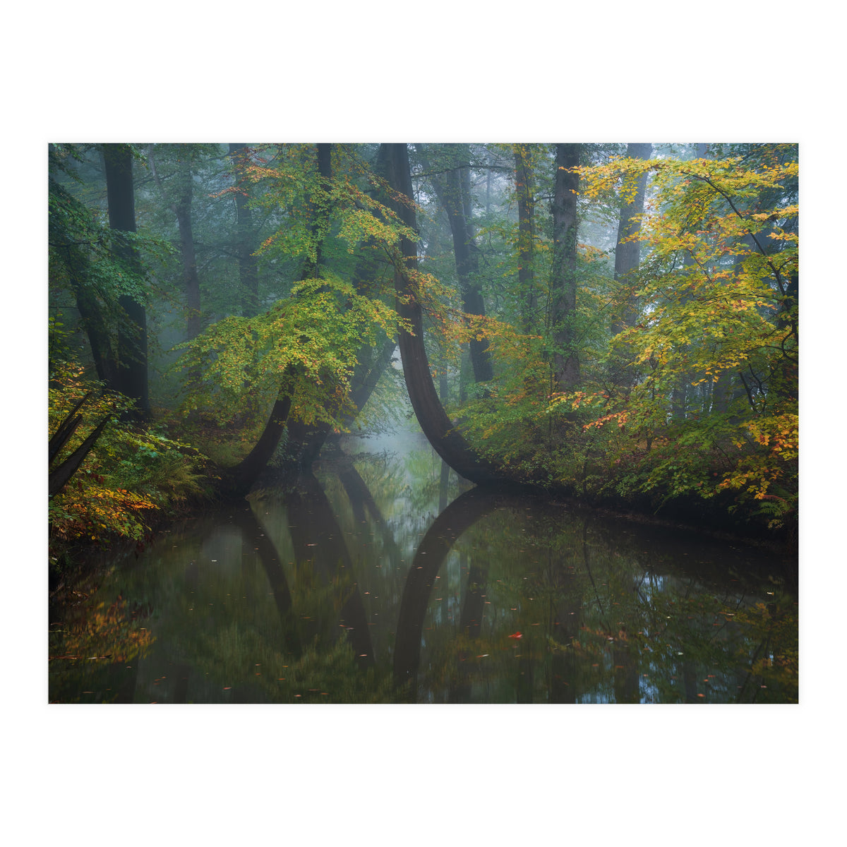 The bent ones (Print Only)