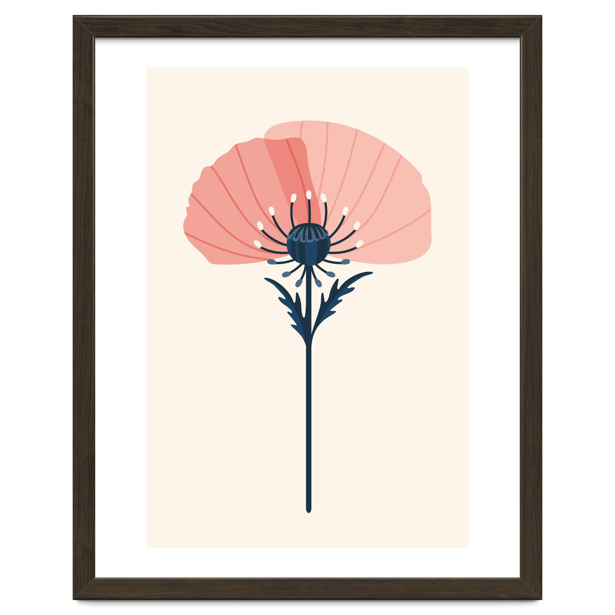 Pink Half Poppy