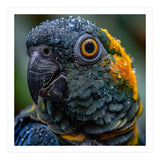 Close Up Of A Wet Macaw Parrot Head (Print Only) thumbnail