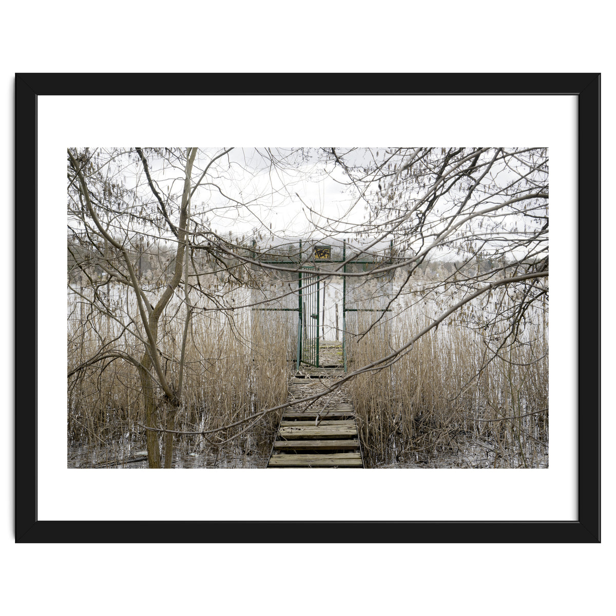 The gate to the lake