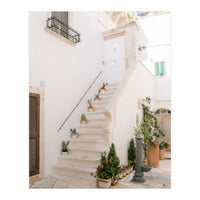 Stairs with cacti (Print Only)