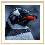 Close Up Penguin Portrait In Snowy Weather thumbnail
