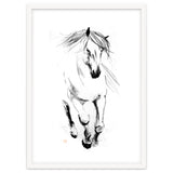 Runninh Ghorse In Water thumbnail
