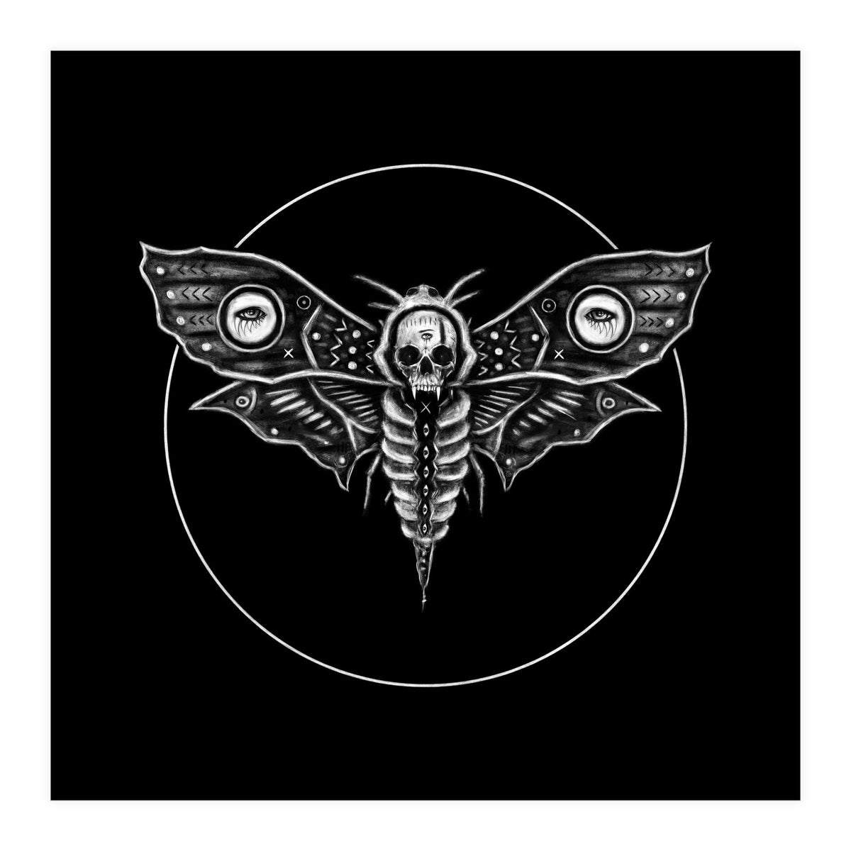 Deaths Head Moth (Print Only)
