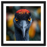 Close Up Of A Strikingly Beautiful Bird Face thumbnail