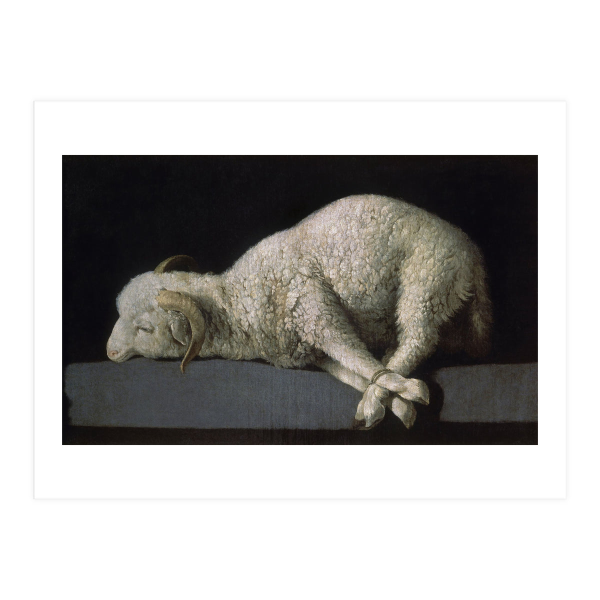 Agnus Dei - ca.1635-40 - oil on canvas - 37,3 x 62 cm - Spanish Baroque - NP 7293. (Print Only)