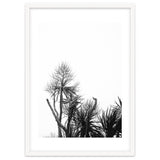 Miminalist Palm thumbnail