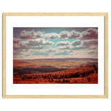 Dartmoor Forest thumbnail