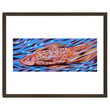 Little fish thumbnail