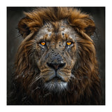 Majestic Lion With Glowing Eyes Close Up Portrait (Print Only) thumbnail