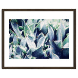 Cactus Garden thumbnail