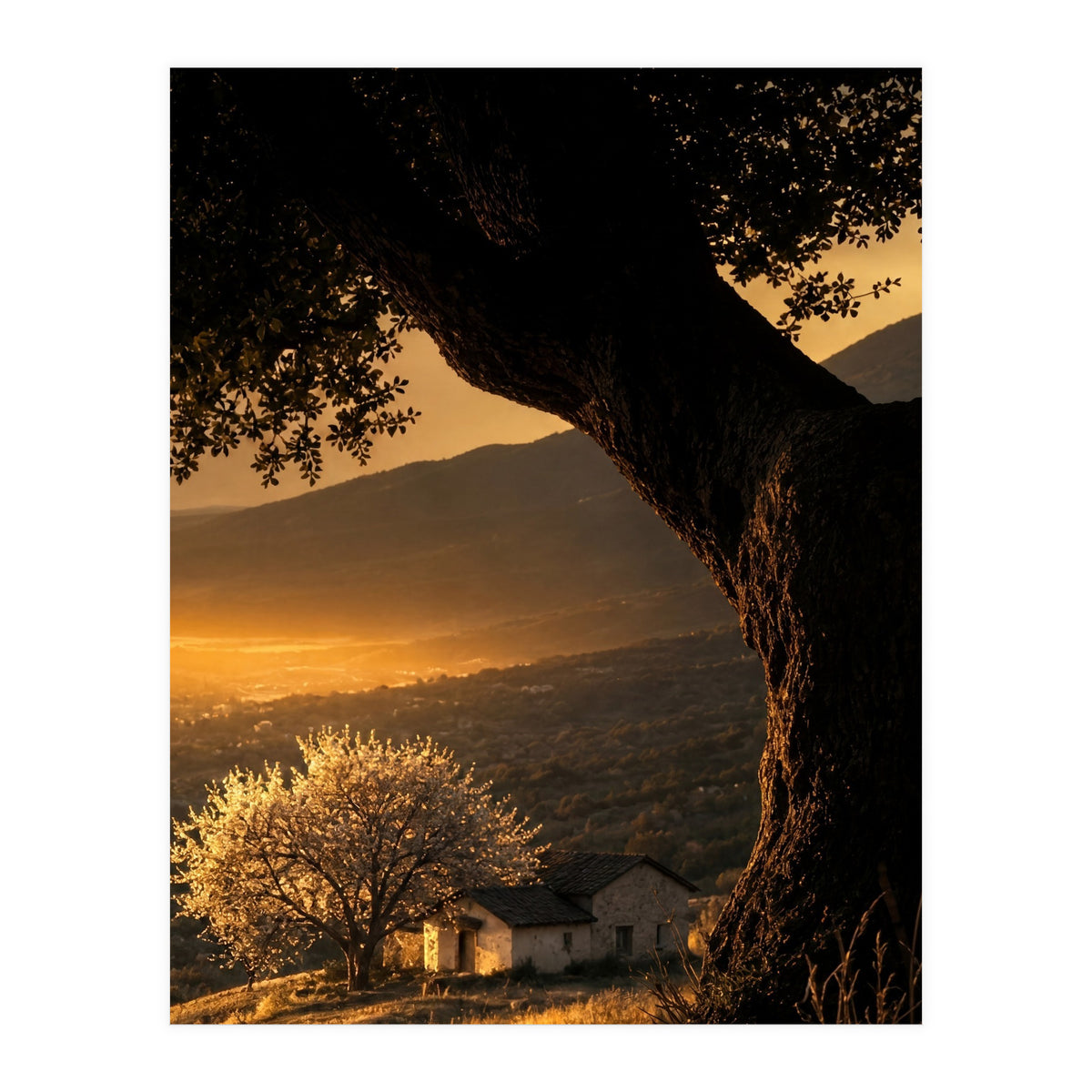 The Hill (Print Only)