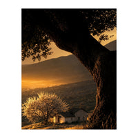 The Hill (Print Only)