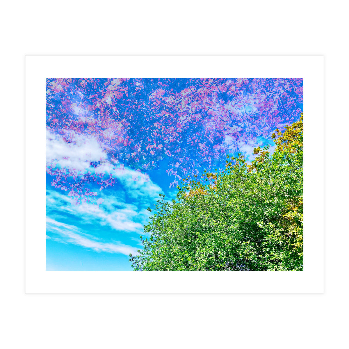 Changing Seasons (Print Only)