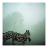 Silence of breath - 16 (Print Only) thumbnail