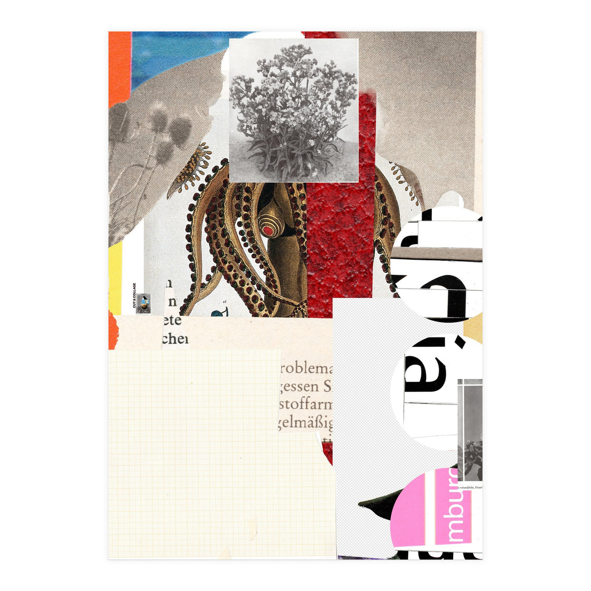 Another Daydream Night Flow · In The Eye Of The Octopuss * (Print Only)