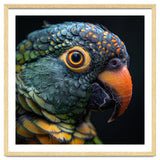 Close Up Of A Colorful Parrot's Face thumbnail