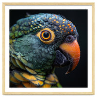 Close Up Of A Colorful Parrot's Face