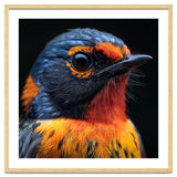 Vibrant Bird With Orange And Blue Plumage thumbnail