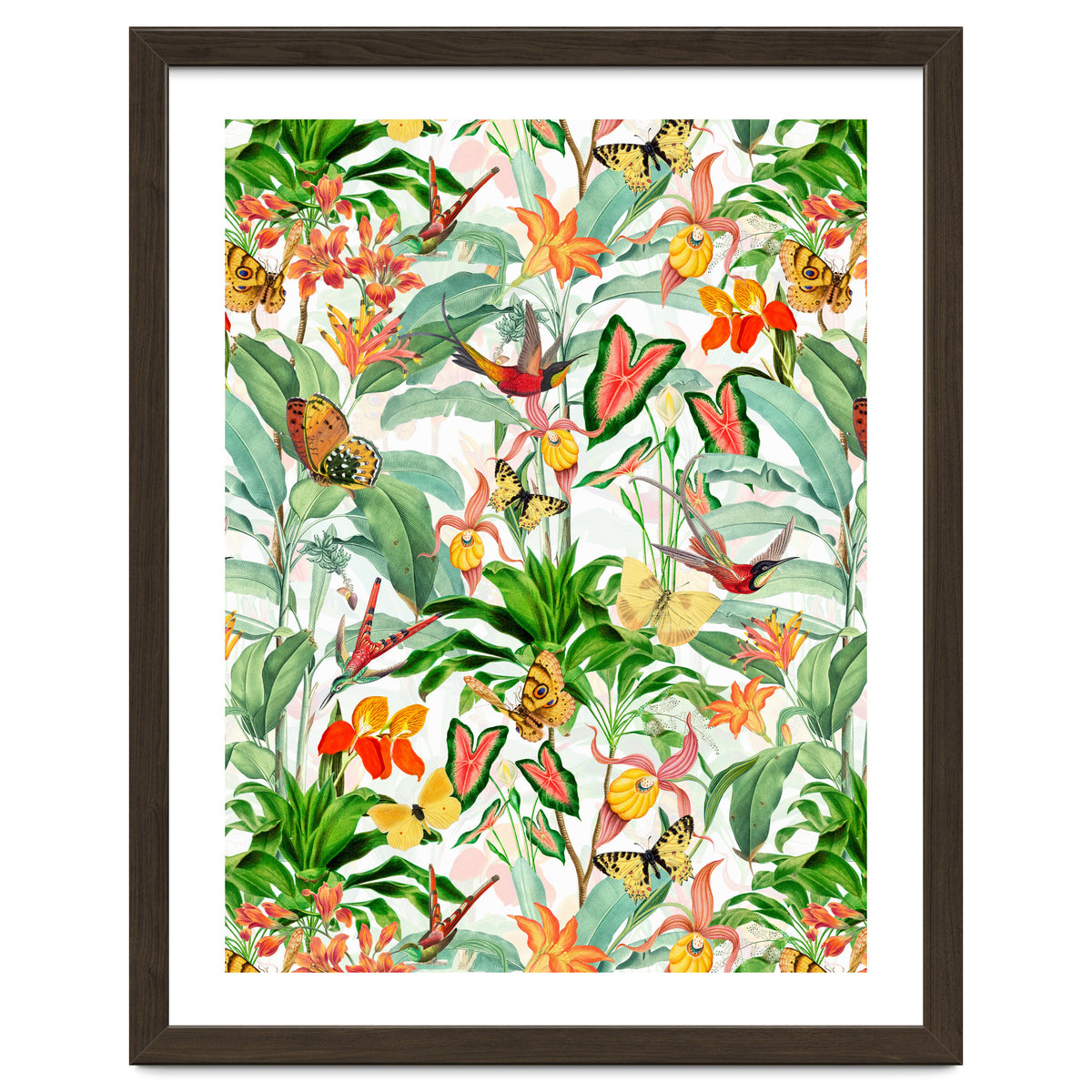 Birds And Butterflies In Tropical Jungle