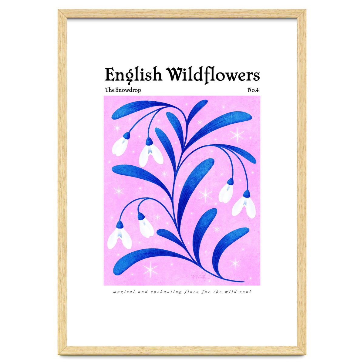 English Wildflowers | Snowdrops