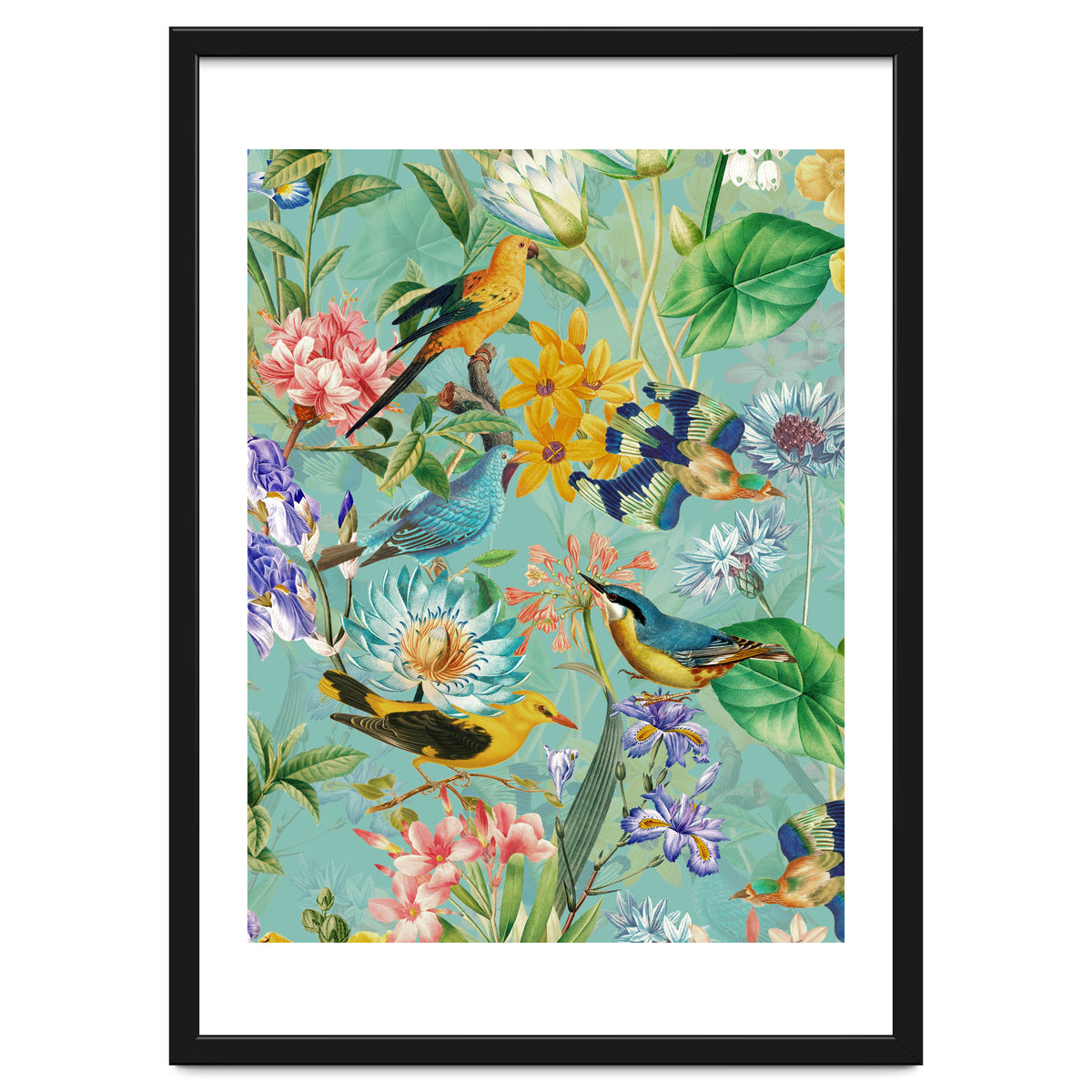 Birds In Tropical Jungle