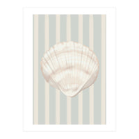 Sea shell (Print Only)