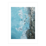 Oceanic Obession (Print Only) thumbnail