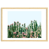 Blush Cactus #society6 #decor #buyart thumbnail