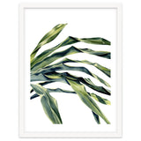 Green Palm Leaves thumbnail
