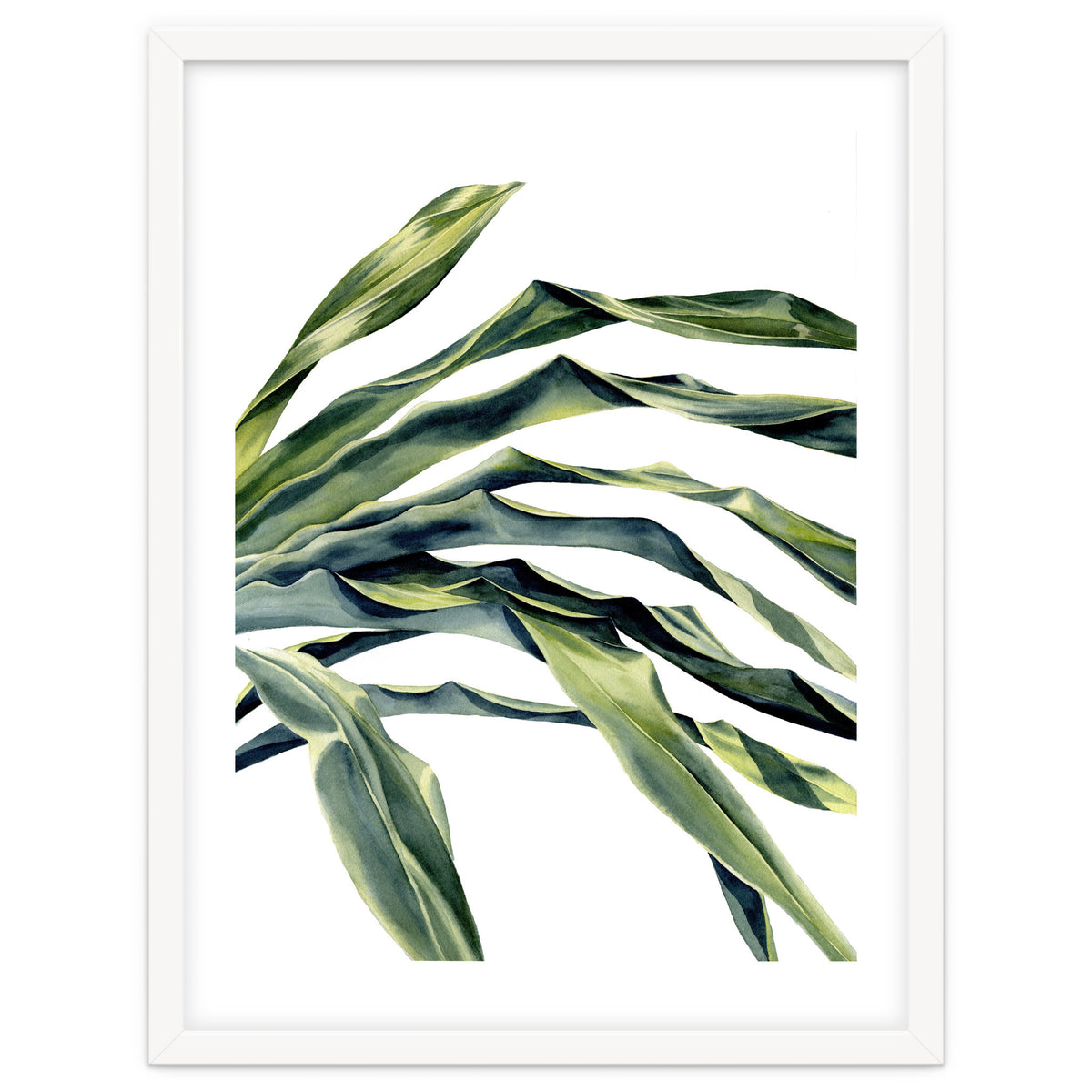 Green Palm Leaves
