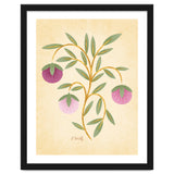 Vintage Fruits thumbnail