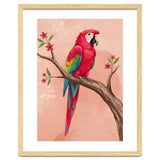 Red Macaw Parrot Bird Forest thumbnail