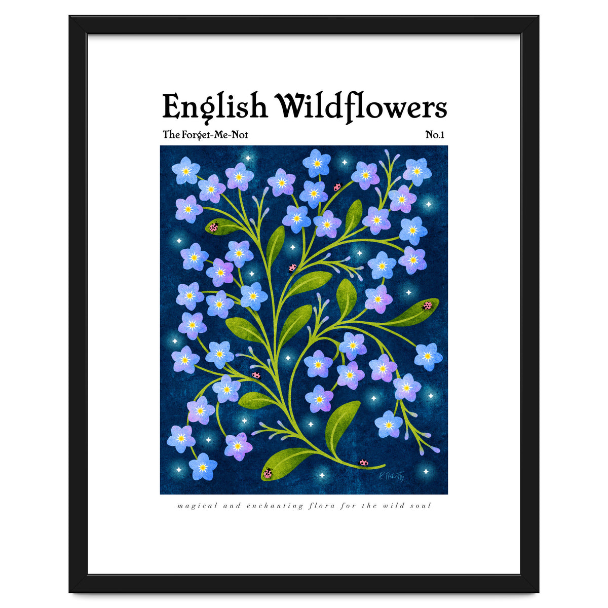 English Wildflowers | Forget-Me-Not