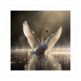 Graceful Swan Spreading Wings On Sparkling Water (Print Only) thumbnail