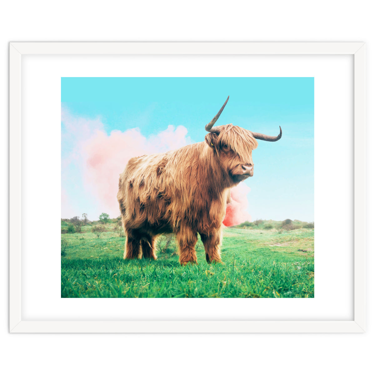 Highland Cow #society6 #decor #buyart
