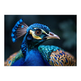 Peacock Head Close Up Majestic Blue Bird (Print Only) thumbnail