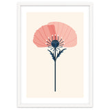 Pink Half Poppy thumbnail