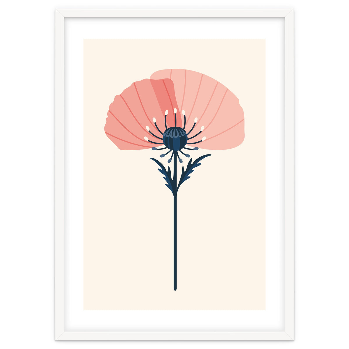 Pink Half Poppy
