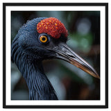 Black Crane Bird Head With Red Crown And Raindrops thumbnail