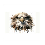 Fierce Bald Eagle Portrait (Print Only) thumbnail