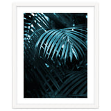 Blue Jungle Palm Ii thumbnail